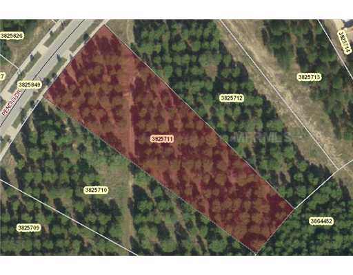 Pendio Drive, Bella Collina, Florida Homes & Land - Real Estate
